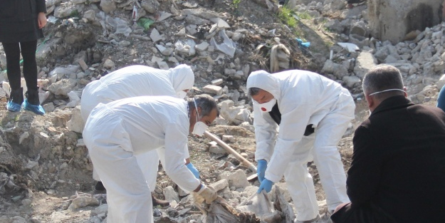 Öldürüp toprağa gömdüler! Korkunç halde bulundu