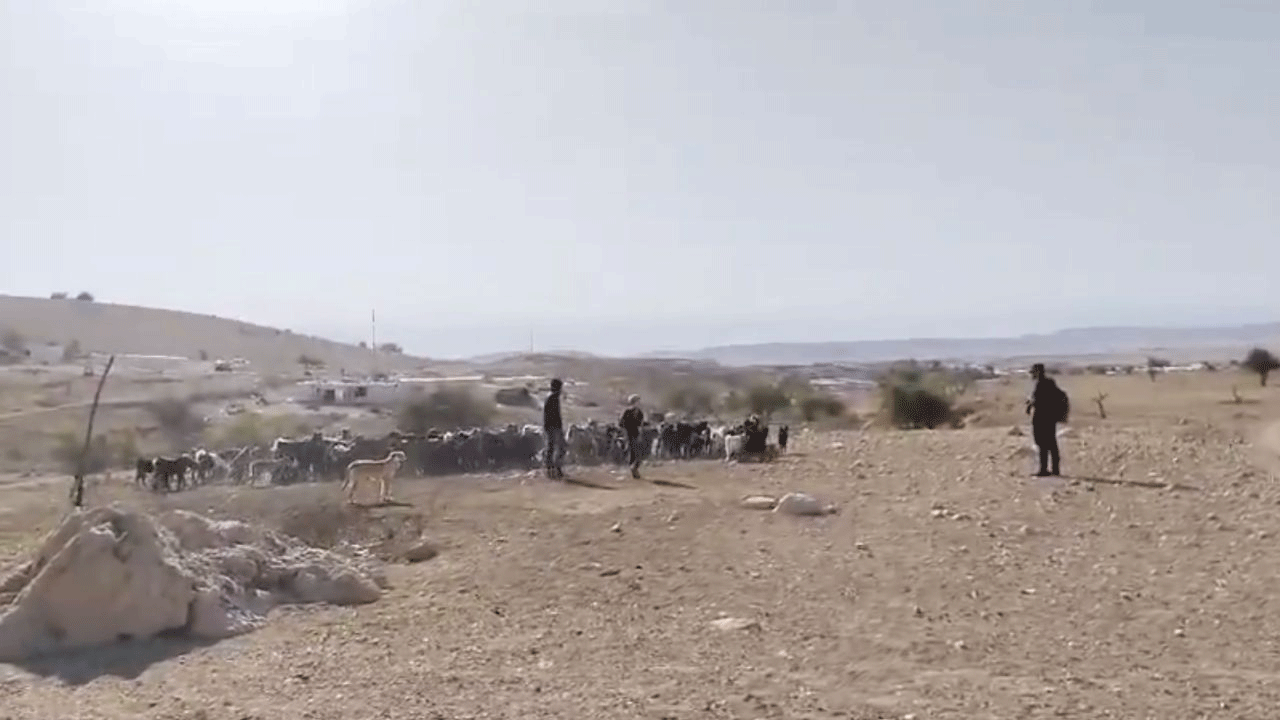 Silahlı teröristlerden köy baskını!