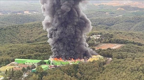 Şile yangın son durum | Şile'de yangın mı çıktı?
