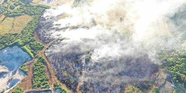 Şili'de orman yangını durdurulamıyor