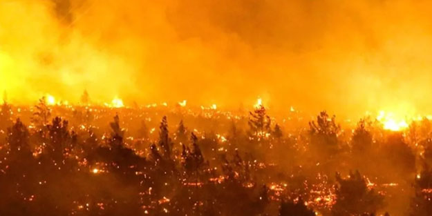 Şili'de yaşanan felakette ölü sayısı 22'ye yükseldi! Duyurdular: Binlerce hektar kül oldu!