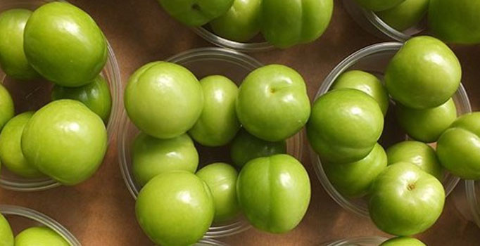 Şili'den eriğin tanesi 10 lira