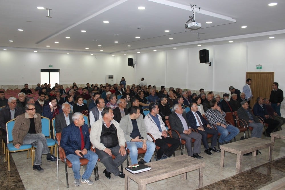 Silifke’de avokado, çiftçilerin yeni gözdesi olma yolunda 