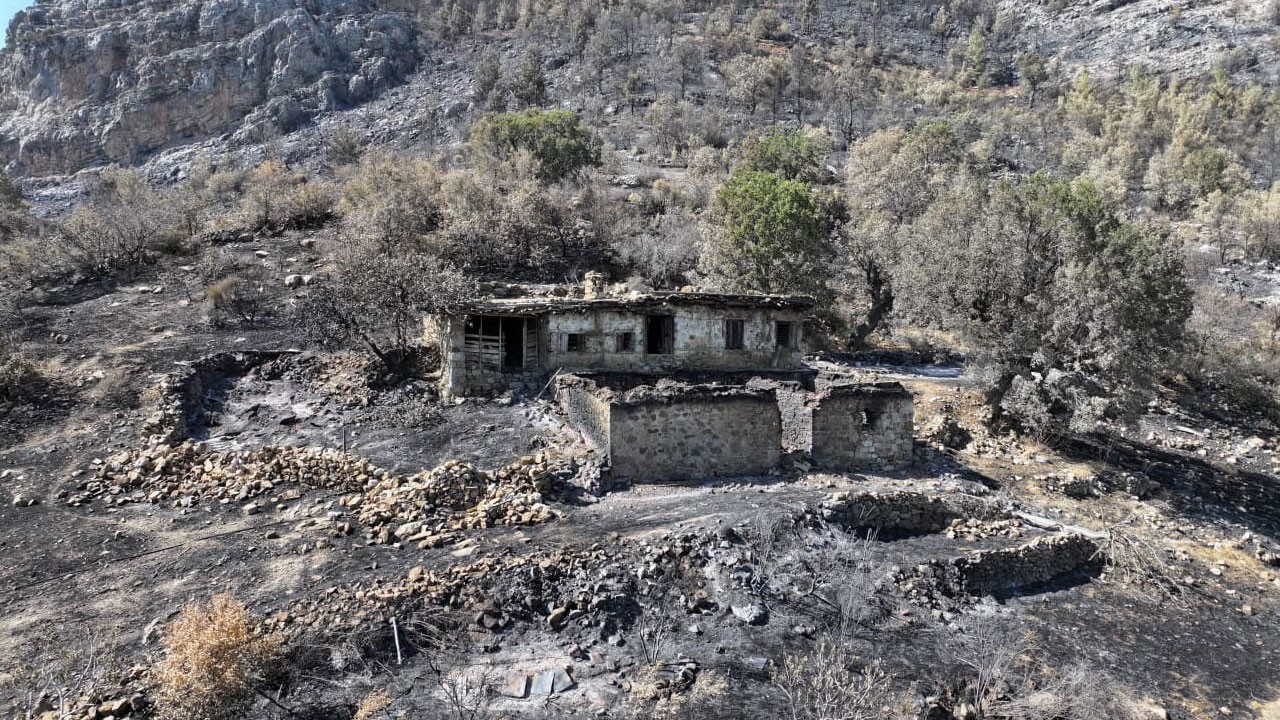Silifke’den acı görüntüler! Yeşil cennet kül oldu
