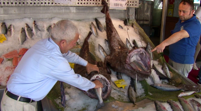 Silivri açıklarında öyle bir şey yakalandı ki... Görenler hayrete düştü!