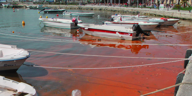 Silivri sahili kızıla büründü
