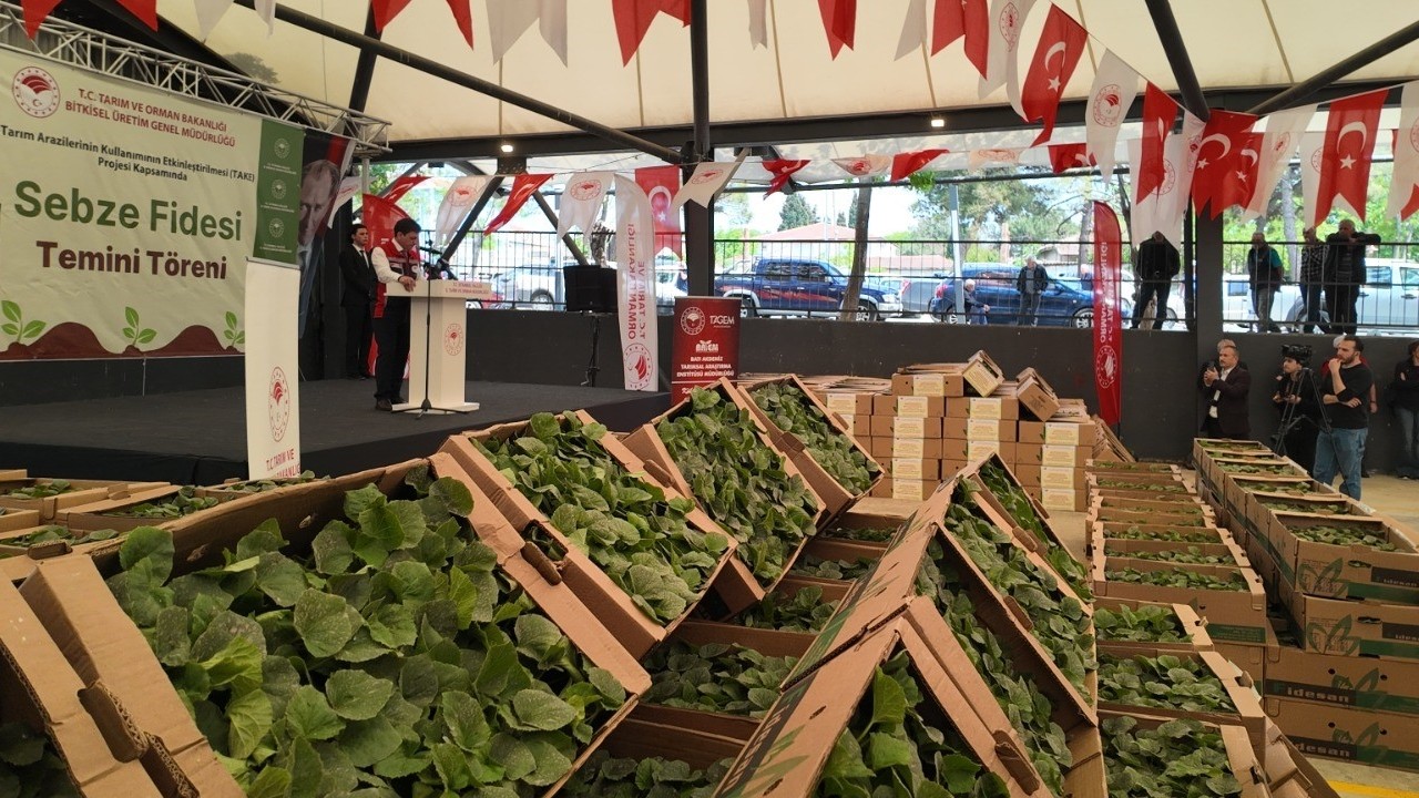 Silivri’de üreticiye fide ve tohum desteği