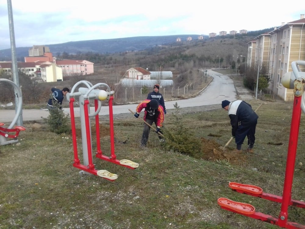 Simav’da park alanları ağaçlandırılıyor 