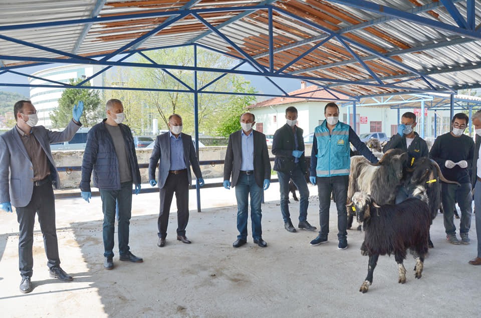 Simavlı 22 çiftçiye Honamlı tekesi desteği 