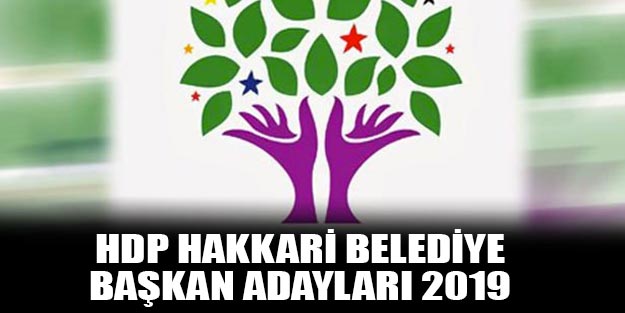 Şimdi de Cizre’de taciz skandalı