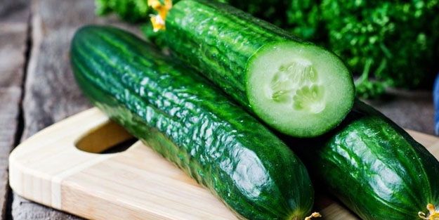 Şimdi de salatalıkta salgın çıktı: ABD'nin 31 eyaletinde tespit edildi! Şoke etti