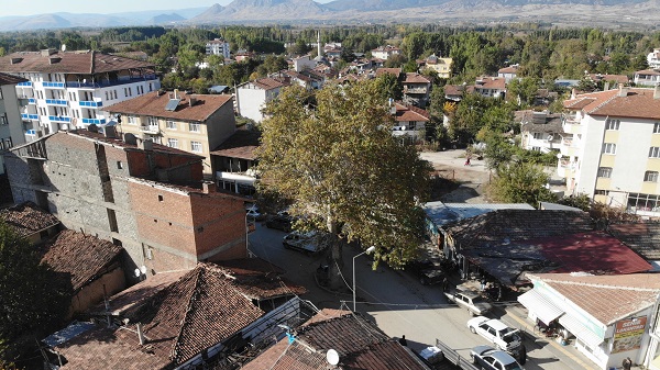 Bir zamanlar darağacıydı!