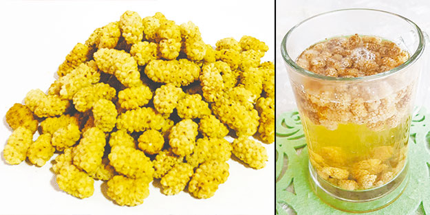 Şimdi tazesi yok ama... Kurusu da yeter!