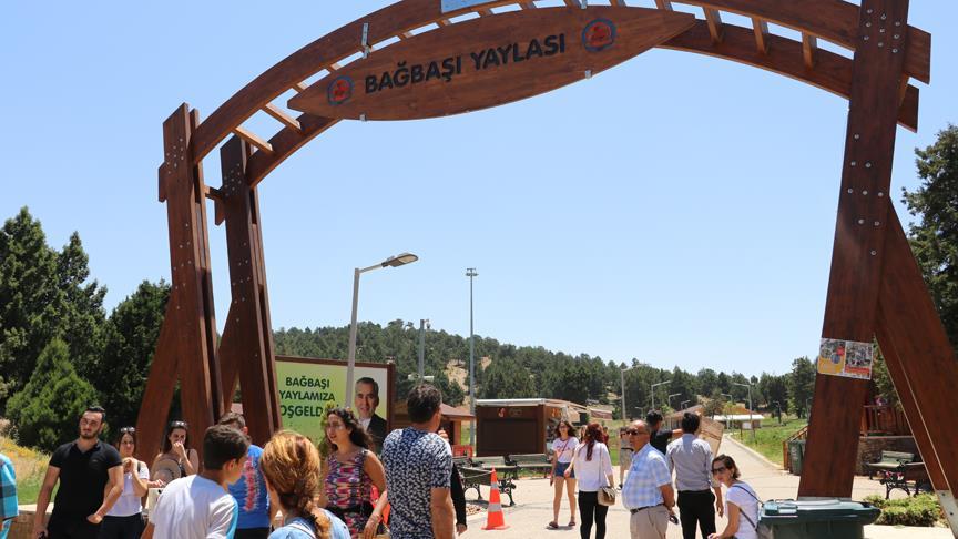 Şimdi yayla zamanı