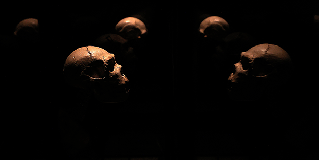 Bilim insanlarını şaşkına çeviren buluş