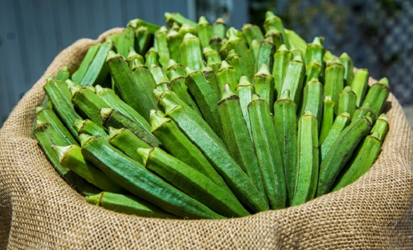 Şimdiye kadar hiç bamya suyu içtiniz mi?