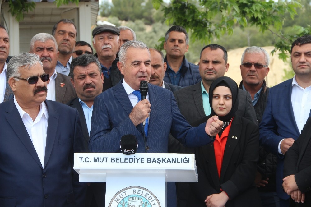 Şimşek: 
