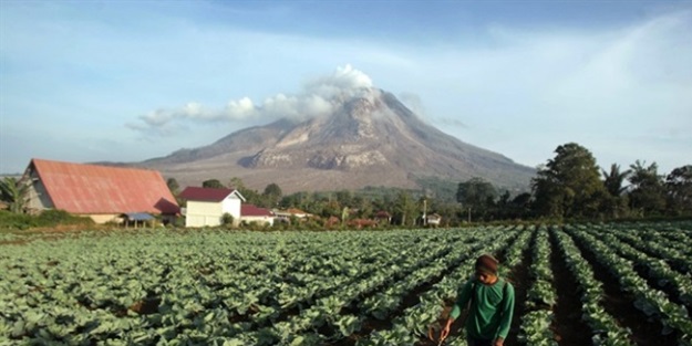 Sinabung yanardağı harekete geçti