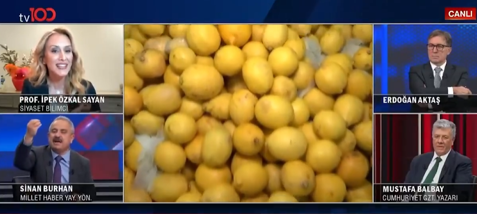 Sinan Burhan Prof'u yerin dibine batırdı! Hükümet klima mı taksın?