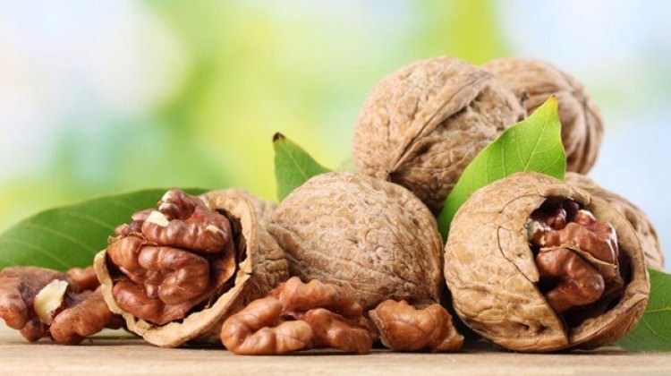 Sınav döneminde her sabah 3 ceviz tüketin