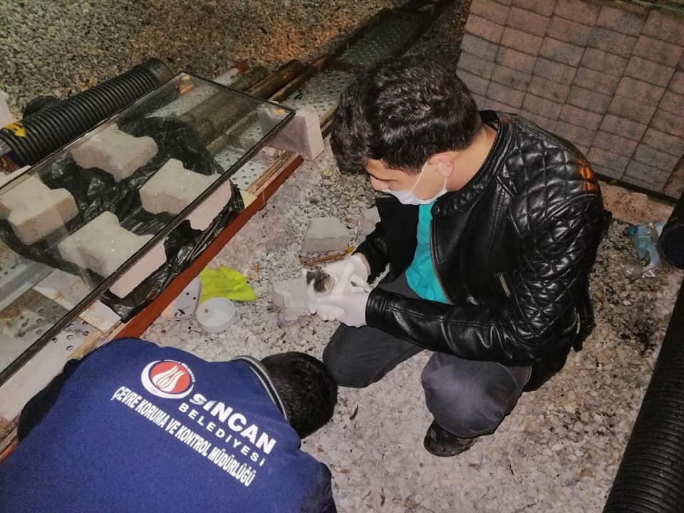 Sincan Belediyesi sokaktaki canlarımıza sahip çıkıyor