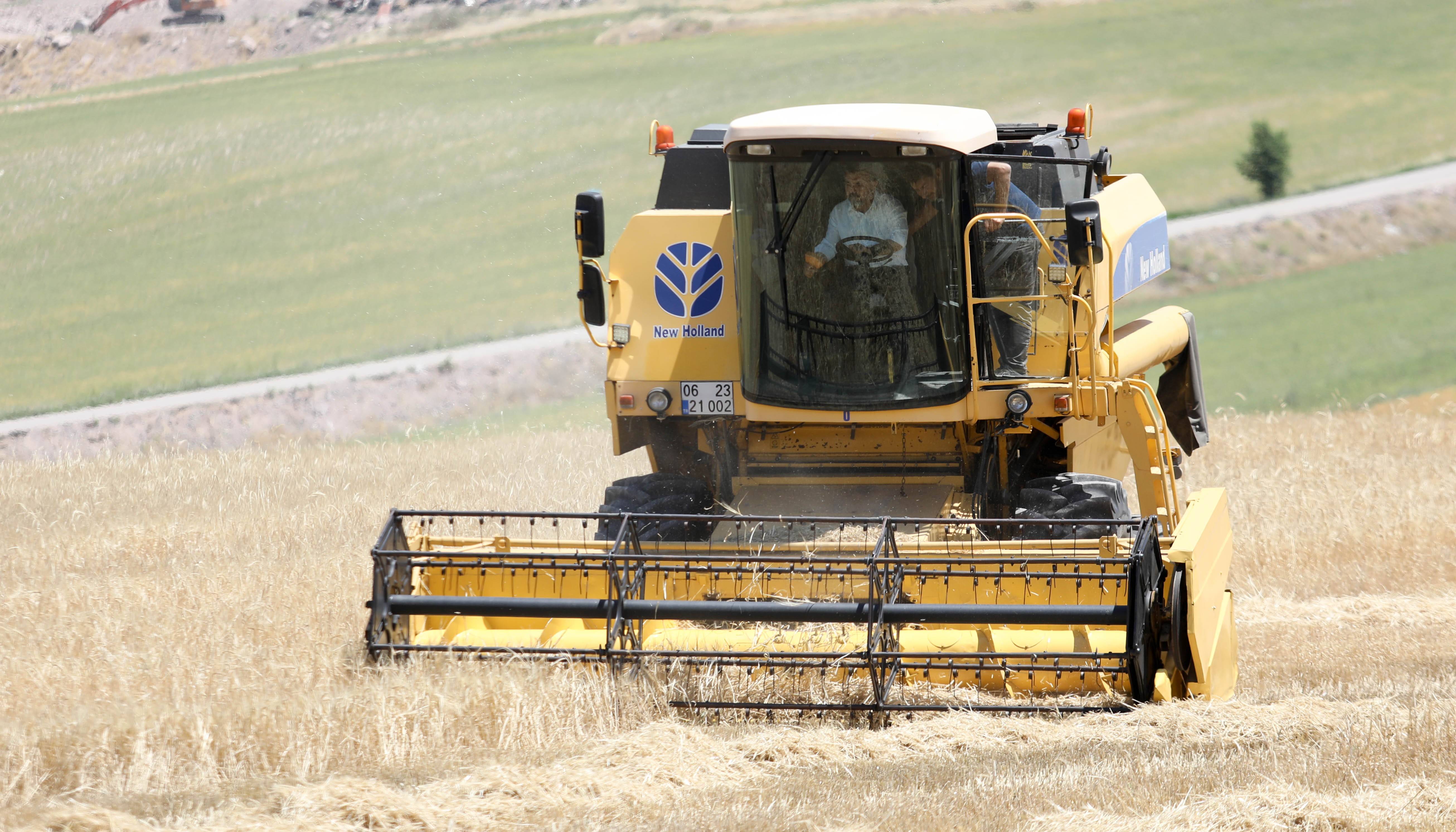 Sincan'da hasat zamanı