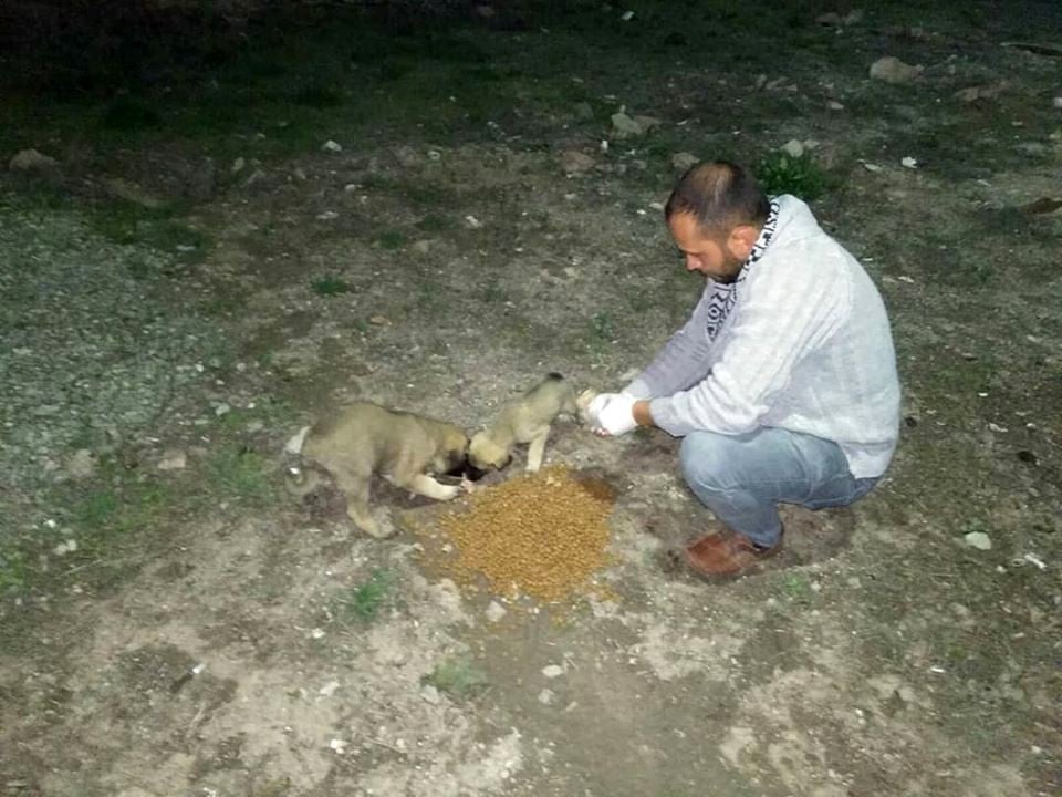Sincan’da her gün 15-25 bölgeye mama ve su bırakılıyor 