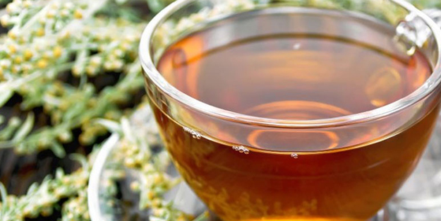 Sindirim dostu bitki tespit edildi! Pelin otu nedir, nasıl kullanılır?