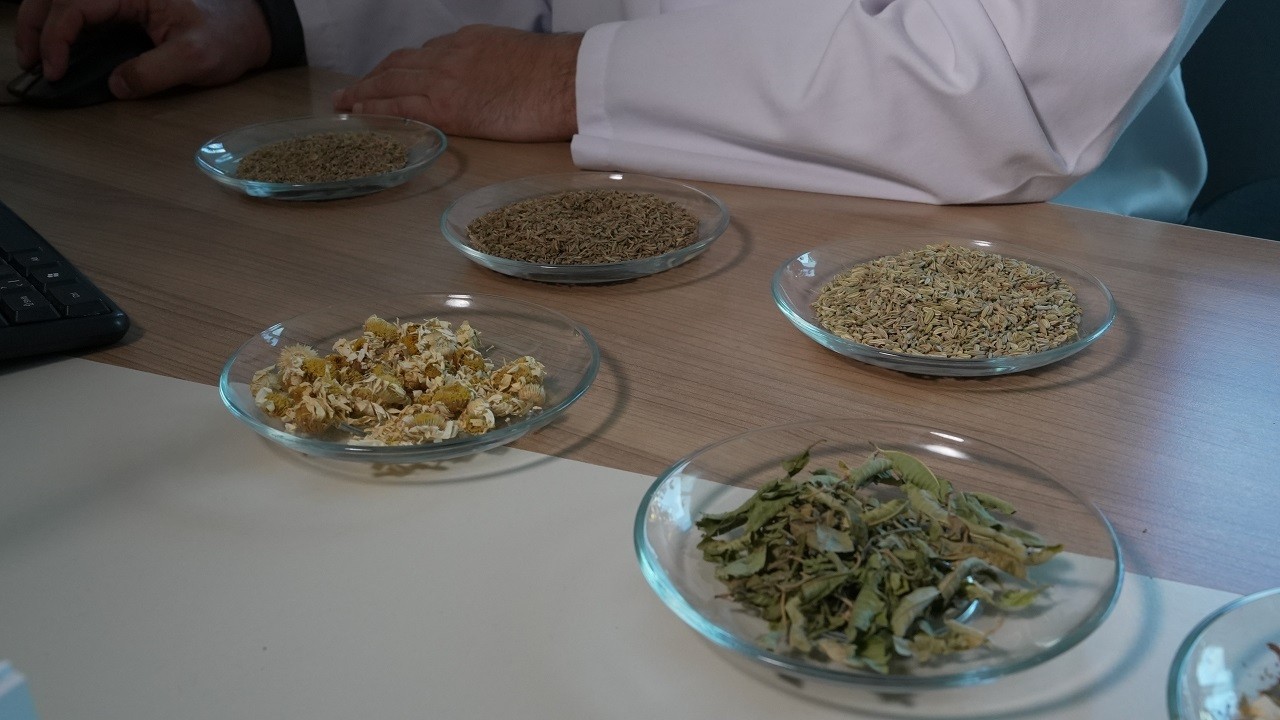 Sindirim sisteminiz için bu çaylardan vazgeçmeyin