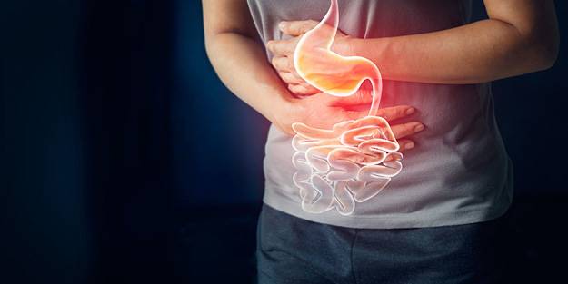 Sindirim sorunu olanlar dikkat! Defne yaprağının bu faydalarına çok şaşıracaksınız