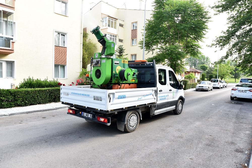 Sinek ilaçlaması devam ediyor 