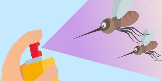 Sinek, sivrisinek ve hamam böceğinden 2 dakikada kurtaran sprey