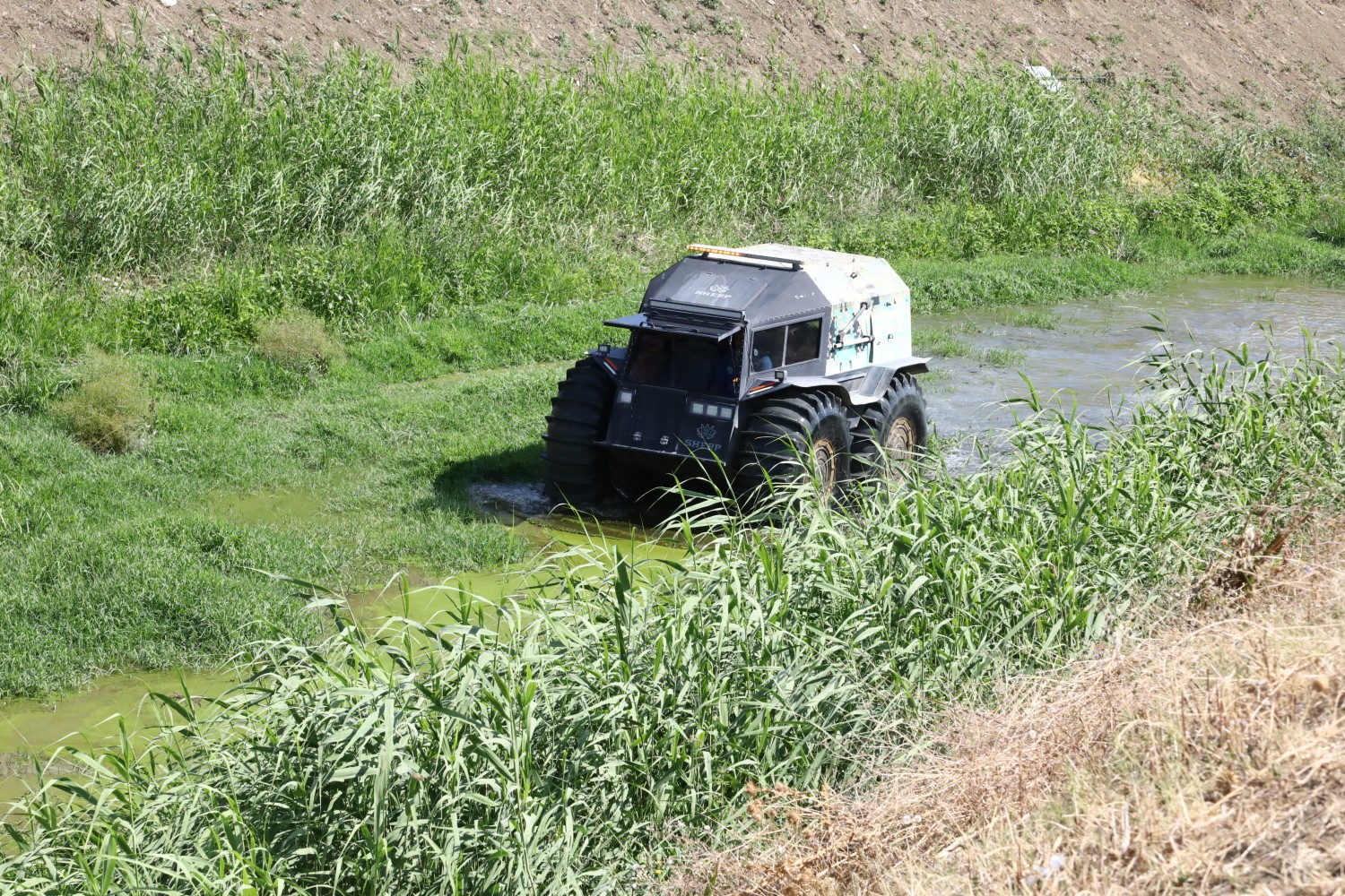 Sinekle kesintisiz mücadele