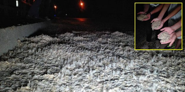 Toplu ölüm dansı başladı