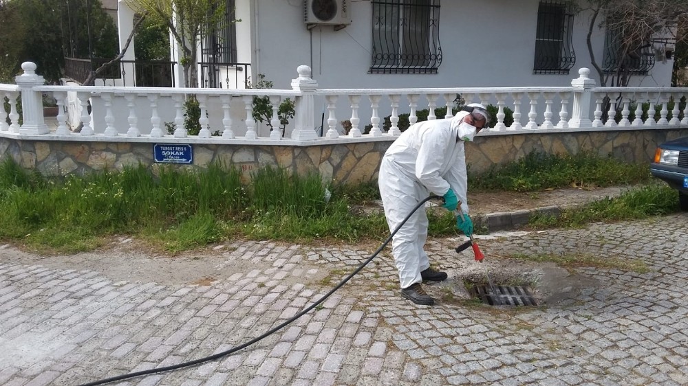 Sineksiz bir Edremit için mücadele devam ediyor 