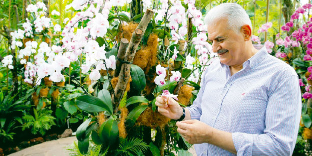 ‘Singapur bölgeye giriş kapımız’