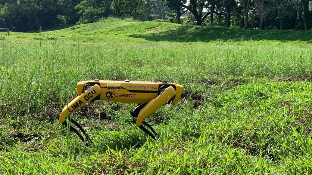 Singapur’dan koronaya karşı “robot köpek” önlemi 