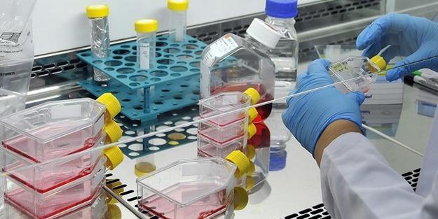 Astım, diyabet ve artrit gibi birçok hastalığı tedavi edecek