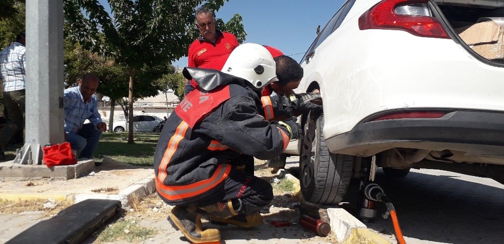 Sınırda haber takip eden basın mensubunun aracına kedi girdi 