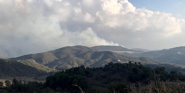 Suriye sınırında korkutan yangın! Ekipler önlem alıyor