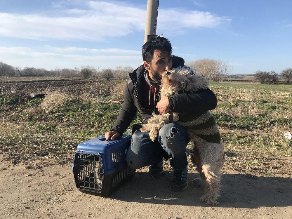 Sınırı geçerken 6 yıldır baktığı kedisi ve köpeğinden vazgeçti 