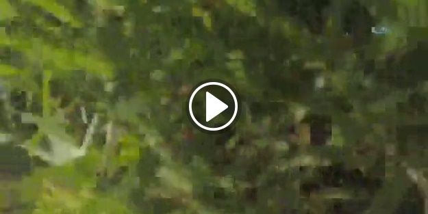 Sinirini drone’dan çıkardı