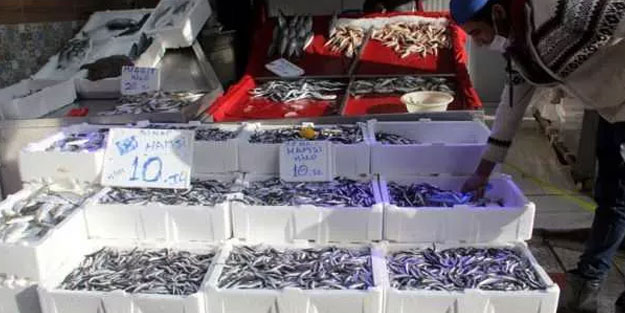 Sinop açıklarında hamsi bereketi