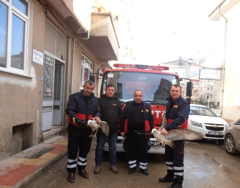 Sinop İtfaiyesinin 2019 karnesi 
