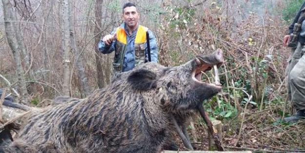 Sinopluların korkulu rüyasıydı... Tam 400 kg... Öldürüldü!