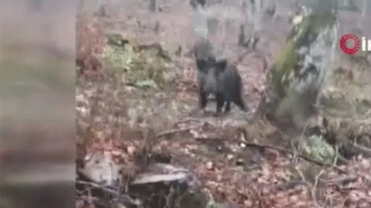 Sinop'ta ava giderken avlandı!