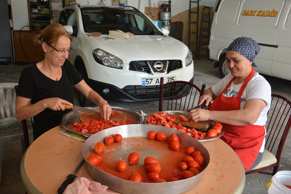 Sinop’ta domates salçası mesaisi başladı 