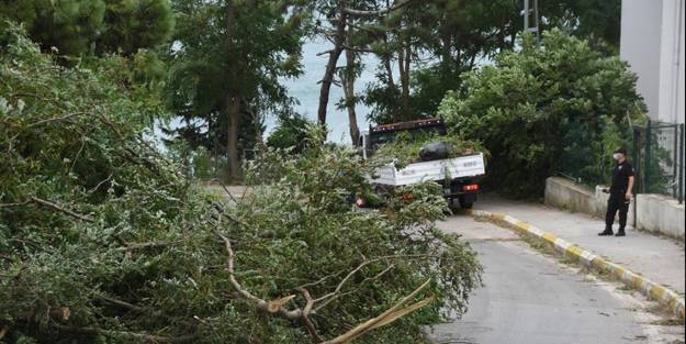 Sinop'ta fırtına: 1 kişi öldü
