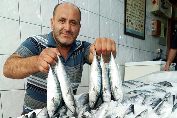 Sinop'ta ilk palamutlar tezgahta
