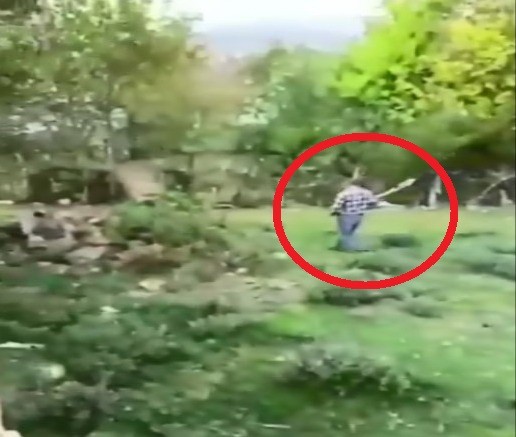 Sinop’ta köpeğini kürekle döverek öldüren kişiye 947 TL ceza 